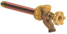 Woodford 14-Inch Freezeless Anti-Siphon Wall Faucet for Residential Irrigation