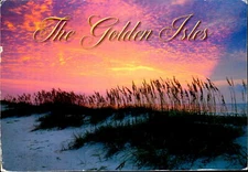 IMN04037 the golden island of  georgia  usa