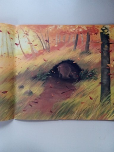 Bild 7 von 24