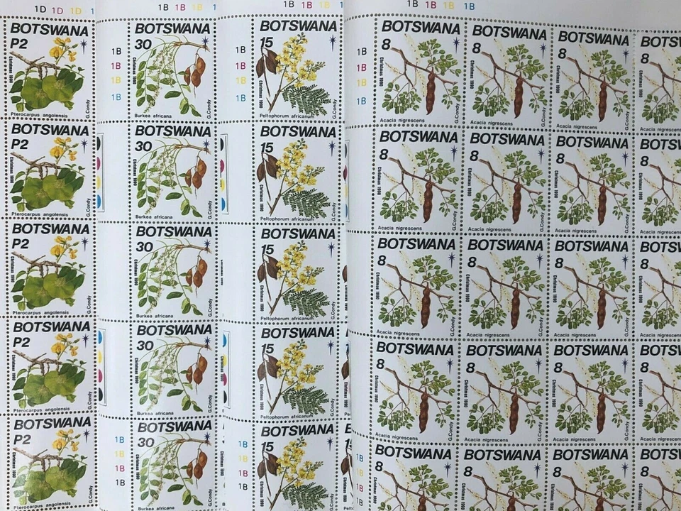 Botsuana 1990 - Flores Árboles Navidad - Juego de 4 hojas - Scott #483-6 - MNH Foto 2 de 2