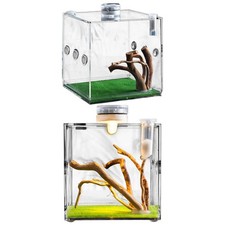 Acrylic Reptile Terrarium Lizard Spider Vivarium Enclosure Clear Reptile Cage
