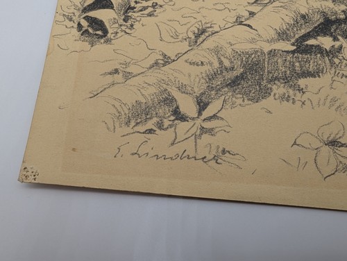 Ernest Lindner Drawing Decaying Birch Trees - Snowy Cabin on Reverse Canadian - Picture 6 of 13