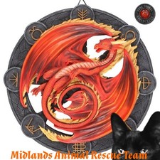Beltane Dragon Resin Wall Plaque by Anne Stokes - Sale