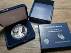 2013 W American Silver Eagle Choice Proof Bullion $1 Coin OGP - No COA