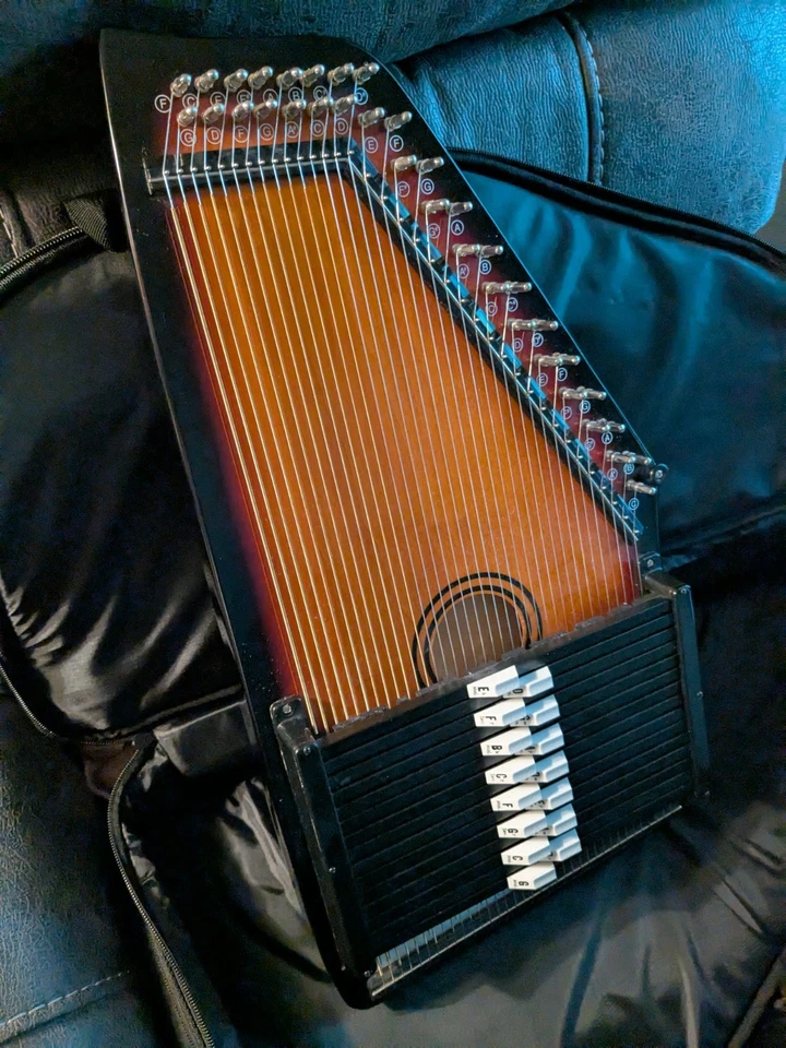 Chromaharp Autoharp...Sin marca... con estuche y accesorios nuevos Foto 3 de 4