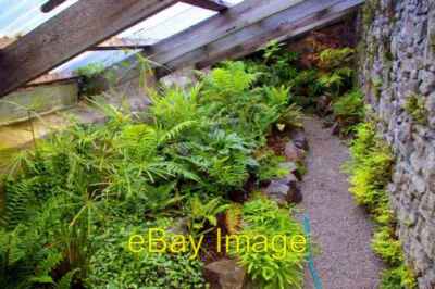 Photo 6x4 Fern House / Taigh nan Raineach Garrachan In Dunvegan Castle g c2008