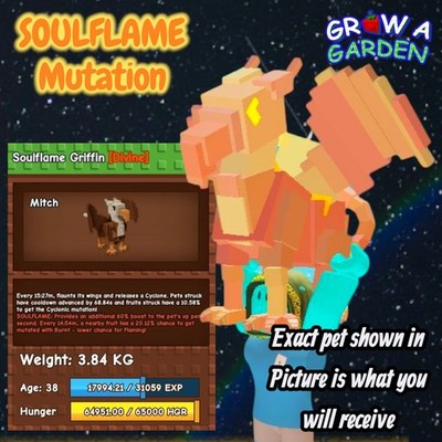 SOULFLAME Griffin. Age/Weight Shown In Photo. Grow A Garden. Same Day