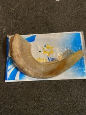 Holy Voice Kosher Ram Shofar Horn from Israel 12"-14" 12-14, natural