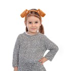 Foto 10 di 12
