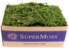 Supermoss Fresh Green Forest Moss Bulk 3 Lb For Gardens Baskets Decor