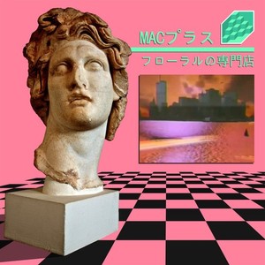 Floral Shoppe Macintosh Plus | eBay