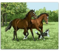 Paint By Numbers Adults kids Horses Dog Running DIY Painting Kit 40x50CM Canvas