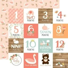 Baby Girl Echo Park 12 x 12 Cardstock Milestones Months Cut-aparts