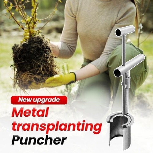 Plant and Fruit Tree Seedling Transplanter, Stainless Steel Garden Planting Tool - Picture 2 of 13