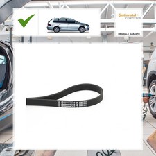 Continental Ctam Keilrippenriemen VW GOLF IV Variant (1J5) 1.9 TDI