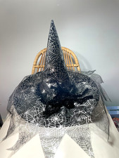 Black with Glittery Spider Web Design and Large Soft Spider WITCH HAT One Size