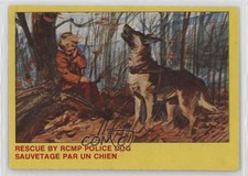 1973 O-Pee-Chee Royal Canadian Mounted Police Rescue by RCMP Police Dog #8 1bw0