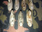 第 3/6 張圖片