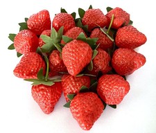18PCS Plastic Artificial Red Strawberries Fake Lifelike Simulation Realistic ...