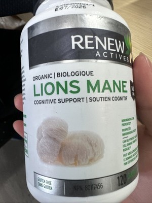 Lion's Mane Mushroom - Supports Brain Function Memory Focus Stress Relief