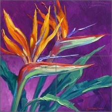 Ceramic Tile Mural Backsplash Senkarik Bird of Paradise Floral Art MSA058