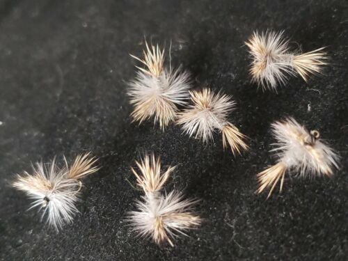 FLY FISHING FLIES GREY WULFF # 14 DRY FRONTIER ATTRACTOR PATTERN - Picture 2 of 3