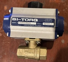 BI-TORQ IP2P0252DAPN 