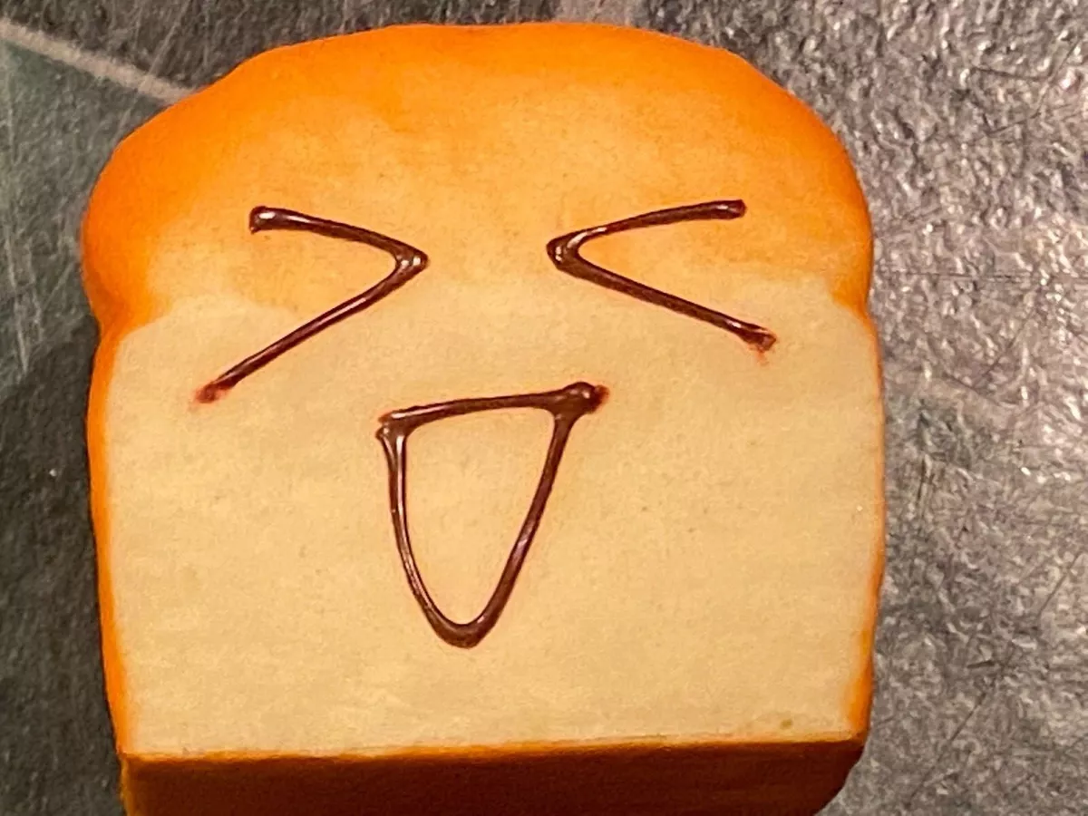 Bread squishy with face 2025
