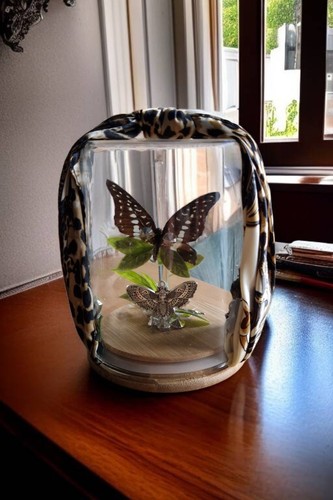Taxidermy Butterfly Cloche Jar - Picture 2 of 2