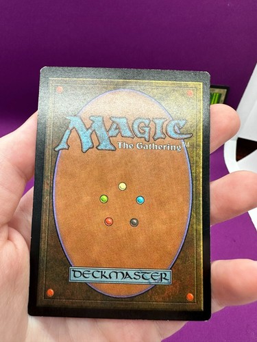 MTG Alternate Art Basic Land Set of 5 Portal 1 Simplified Chinese *CCGHouse* - Picture 13 of 23