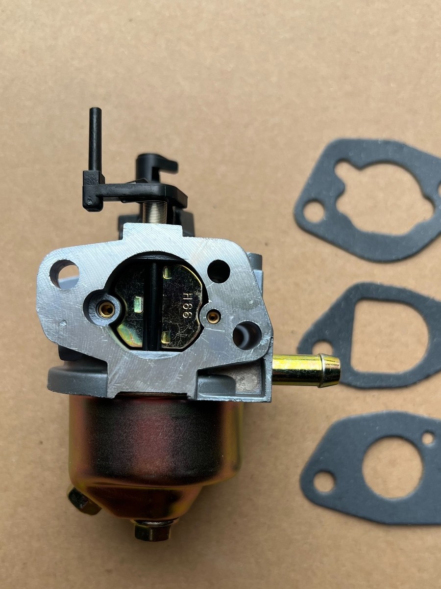 Kit Carburatore Per Tosaerba A Spinta Troy-Bilt Modello - Foto 14