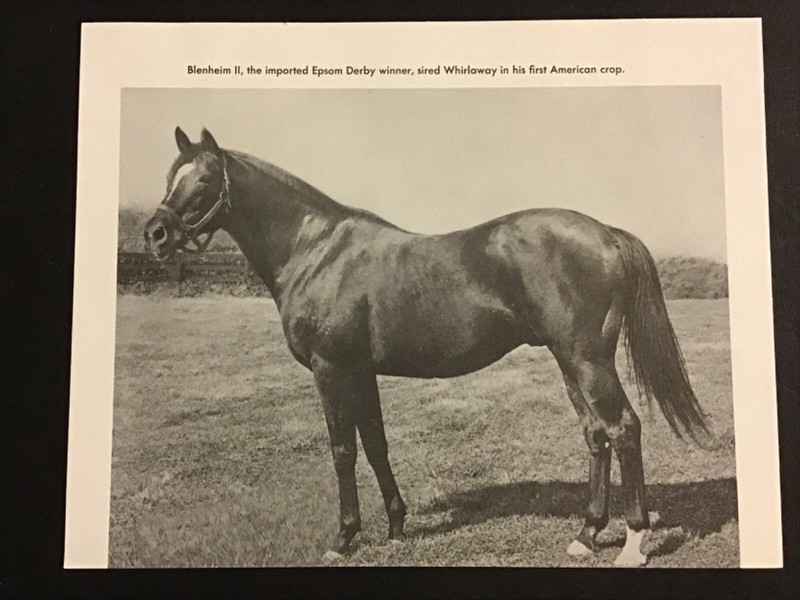 BLENHEIM II photo Horse Racing  1930 EPSOM DERBY  WHIRLAWAY