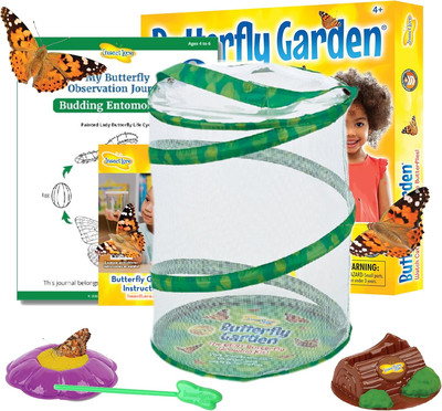Insect Lore Butterfly Garden Kit, Painted Lady Butterfly Kit with Voucher 