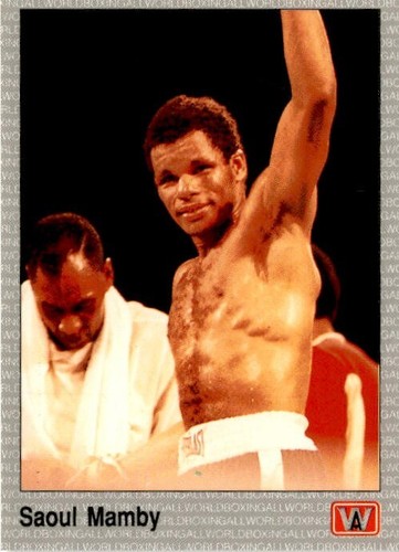 Vintage AW Sports 1991 All World Boxing Premier Edition Single Cards - You Pick - Picture 158 of 225