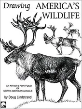 Drawing America's Wildlife : An Artists Portfolio of North Americ