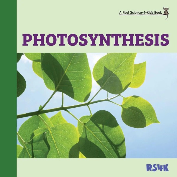 Rebecca Woodbury M. Ed. | Photosynthesis | Taschenbuch | Englisch (2020)-image
