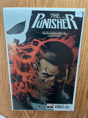 The Punisher 15 Immortal Variant Marvel Comics 92 E43 13 Ebay 