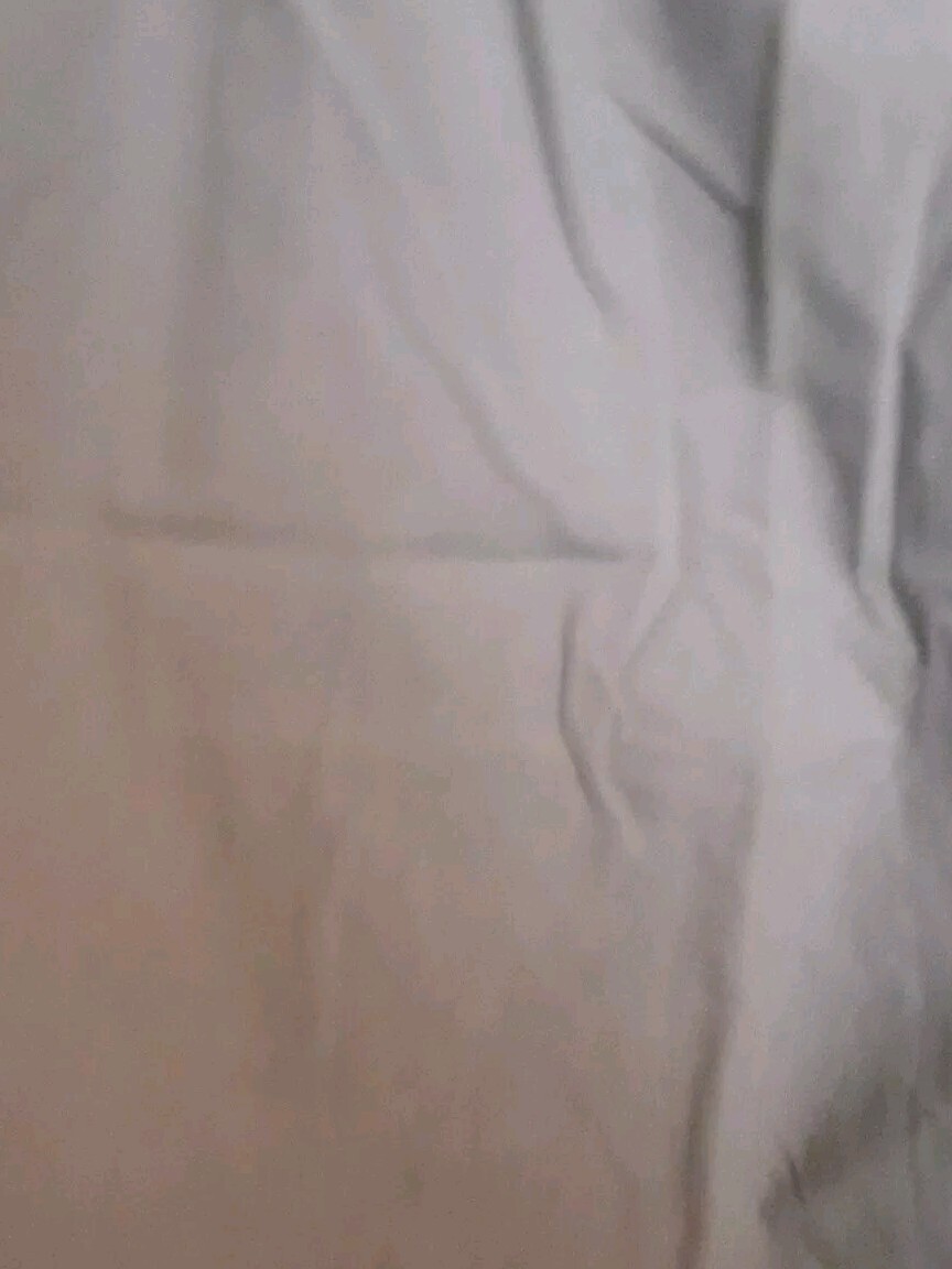 Classic Elements Elastic Waist Shorts Womans Plus… - image 4