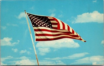 Stars and Stripes Postcard Vintage US Flag Color by Mike Roberts Berkeley CA