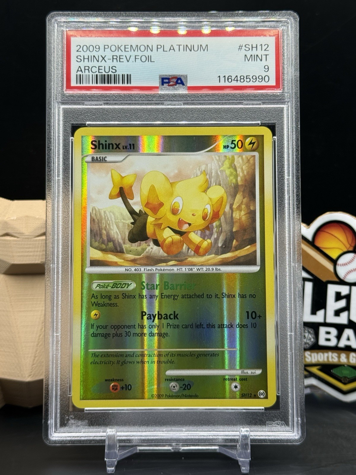 Shinx Reverse Foil Holo SH12 2009 Pokemon Platinum Arceus Mint PSA 9 (CB)