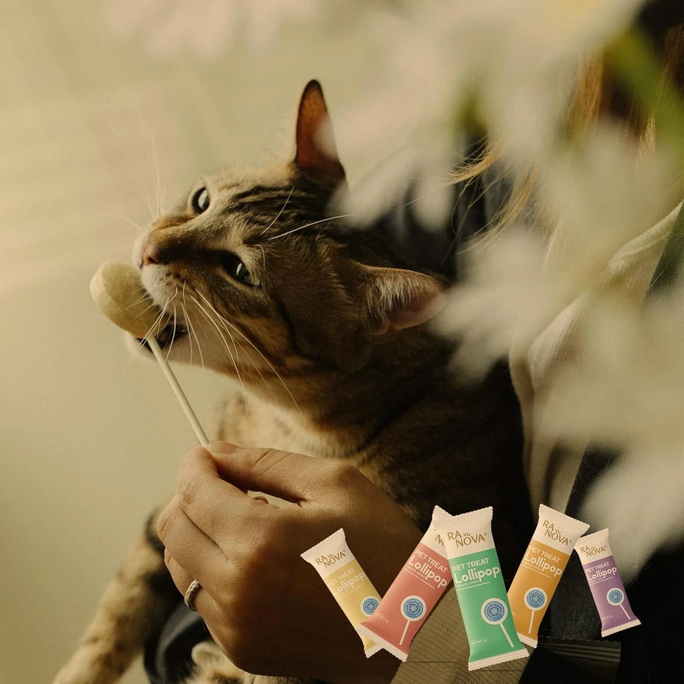 15 piezas piruleta liofilizada golosina para gatos mascota sin granos 98 % carne mezcla de sabor lamible Foto 4 de 4