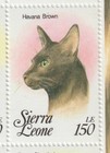 Foto 9 di 13