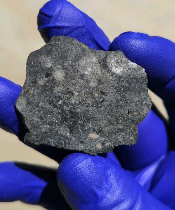 NWA 18438 Howardite Meteorite 7.761g "The Cloudy Galaxy" Slice