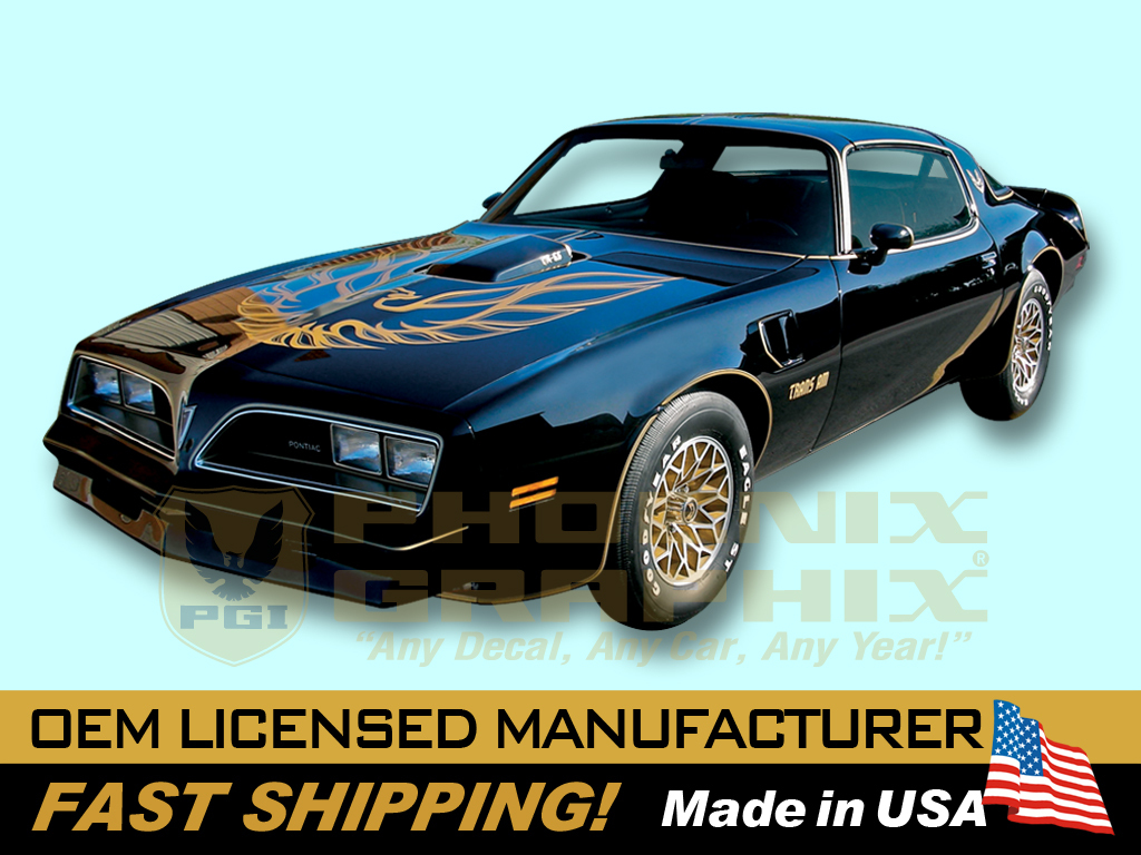 1976 Trans Am Special Edition Bandit Bird Decal Stripe ULTIMATE 54