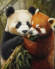 Realistic Red Panda Sharing Bamboo - Wildlife Art 8x10 Matte Print