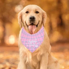Birthday Girl Dog Bandana Large Pink Plaid Pet Scarf Triangle Accessory