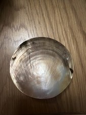 Shell Belt Buckle Handmade Mermaidcore Fairycore Ribbon Belt