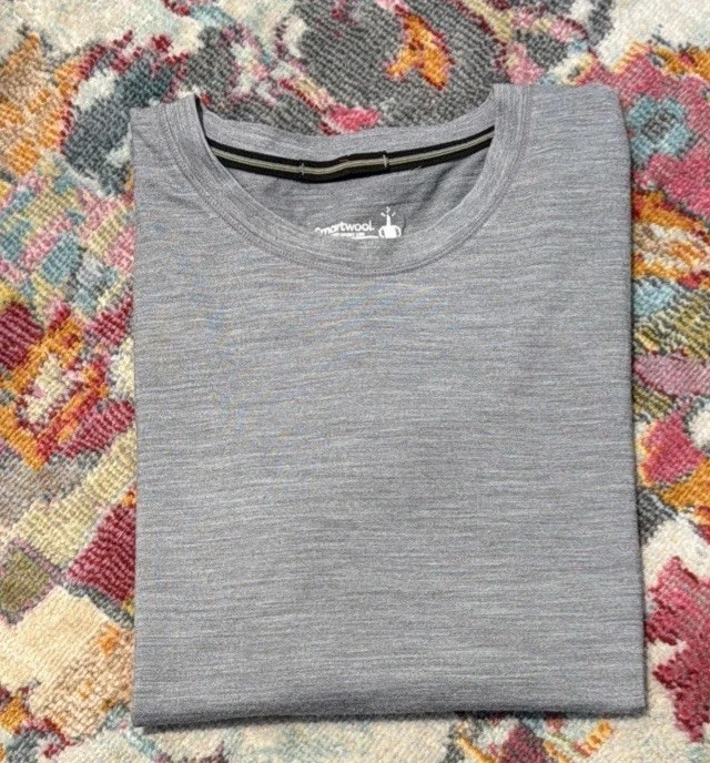 Smartwool Merino 150 Baselayer Short Sleeve Top Shirt M Euc Woman’s