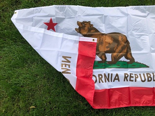 Bandera Fallout Nueva República de California 90x150 cm Poliéster VENDEDOR DE EE. UU. rara - Imagen 5 de 6