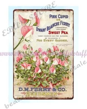 wall art wallpaper 1885 Sweet peas D. M. Ferry & Co. seed annual metal tin sign